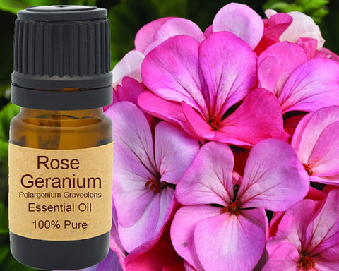 Rose Geranium Essential Oil 5 ml, 10 ml or 15 ml