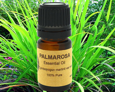 Palmarosa Essential Oil Organic 5ml, 10 ml or 15