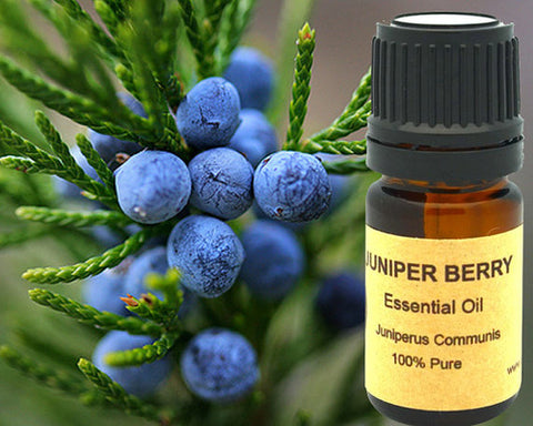 Juniper Berry Essential Oil 5ml, 10 ml or 15 ml