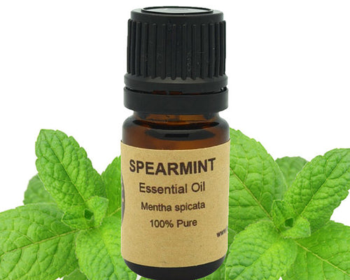 Spearmint Essential Oil 5 ml, 10 ml  or 15 ml