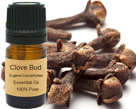 Clove Bud Essential Oil  5 ml, 10 ml or 15 ml