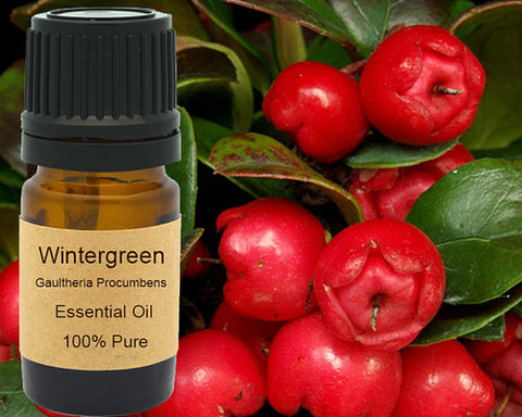 Wintergreen Essential Oil  5 ml, 10 ml or 15 ml