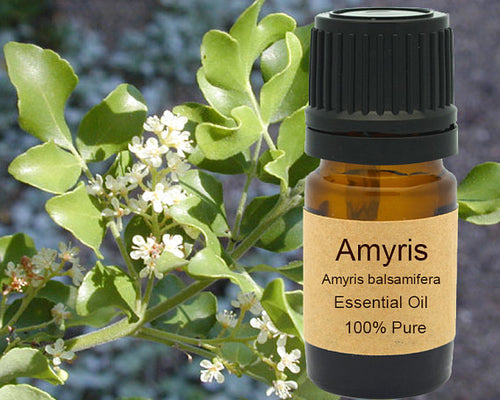 Amyris Essential Oil  5 ml, 10 ml or 15 ml