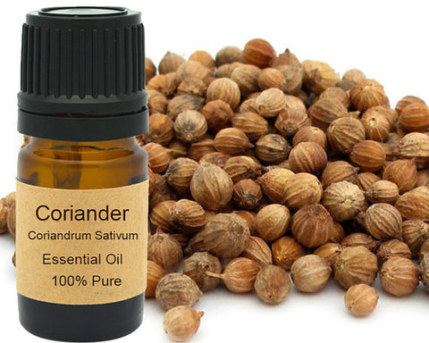 Coriander Essential Oil 5 ml, 10 ml or 15 ml