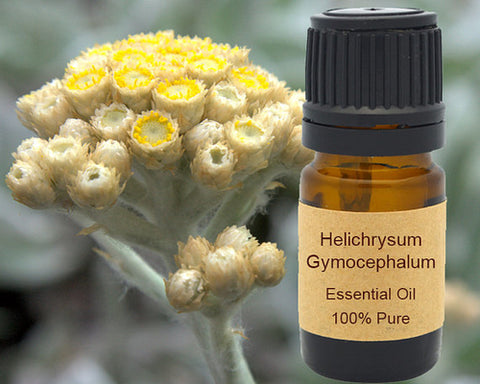 Helichrysum Gymocephalum Essential Oil 5 ml, 10 ml